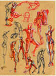 figure drawing