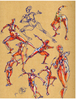 figure drawing
