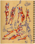 figure drawing