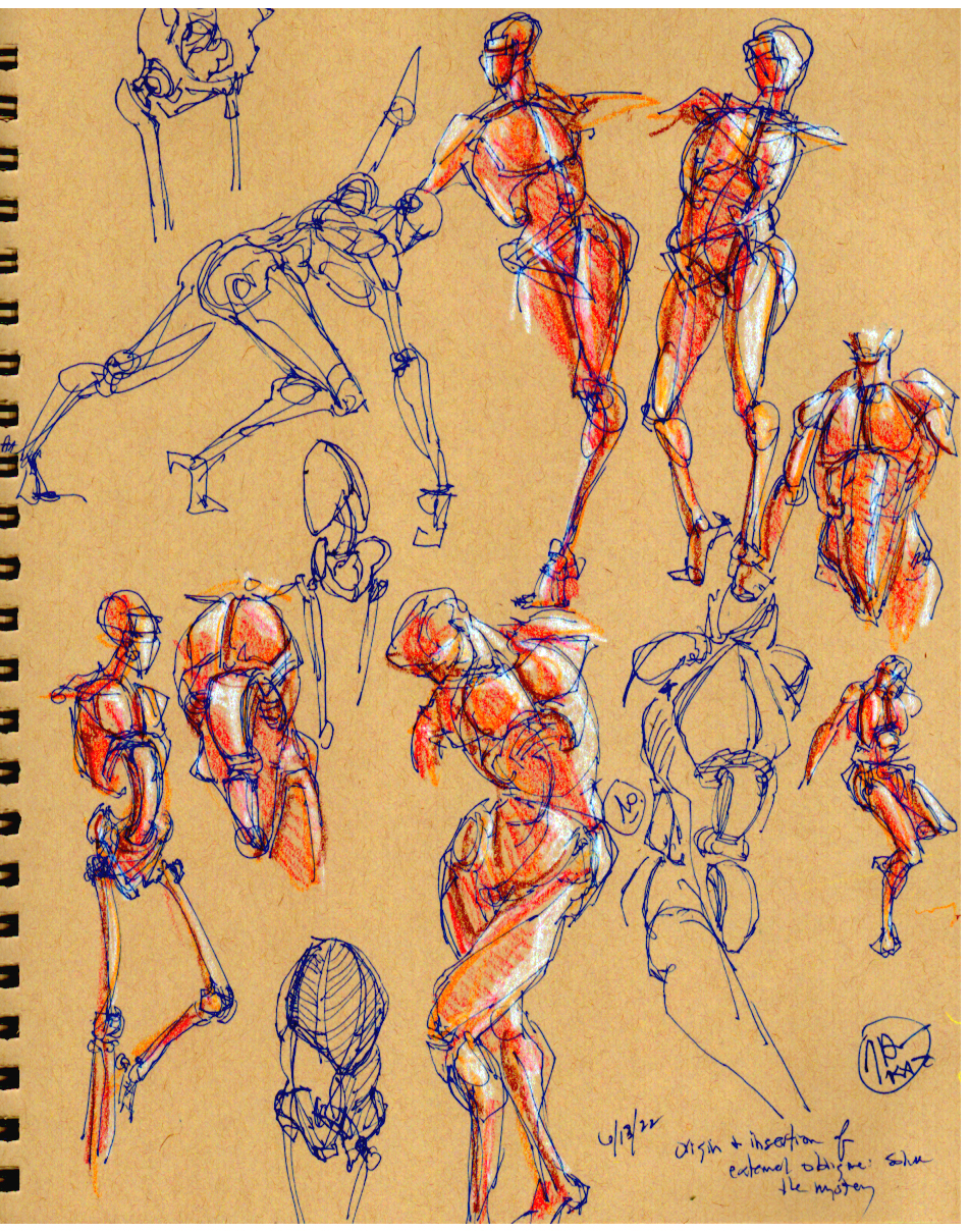 figure drawing