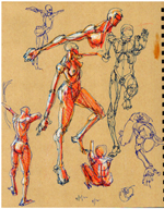 figure drawing