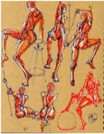 figure drawing