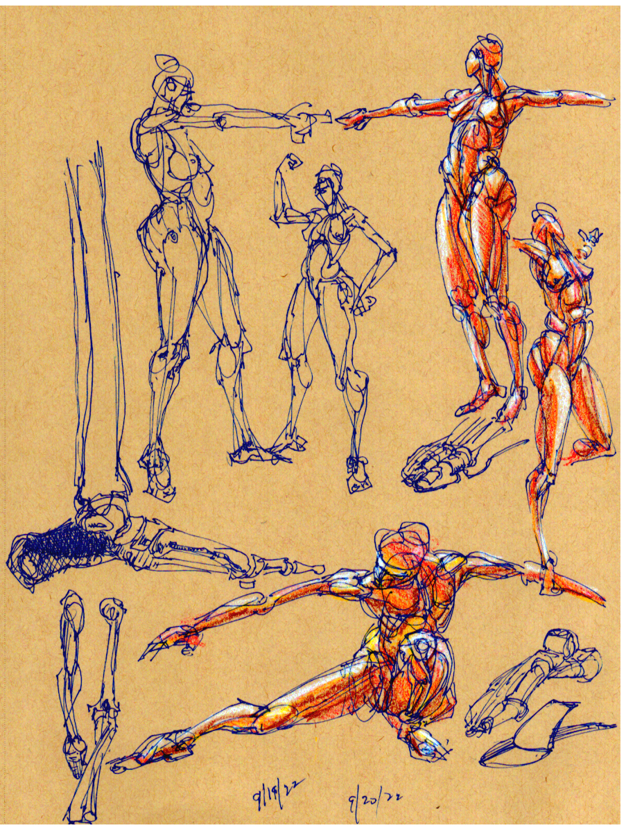 figure drawing