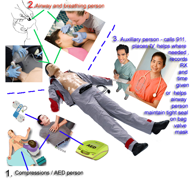 BLS-AED-roles